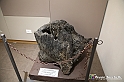 VBS_9140 - Museo Paleontologico - Asti